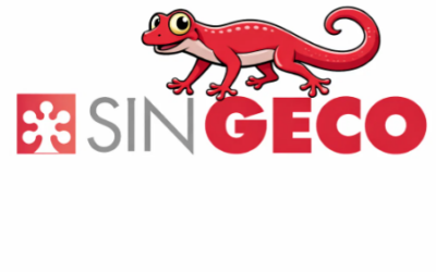 SINGecO: il software gestionale che trasforma la governance economica dell’organizzazione sindacale