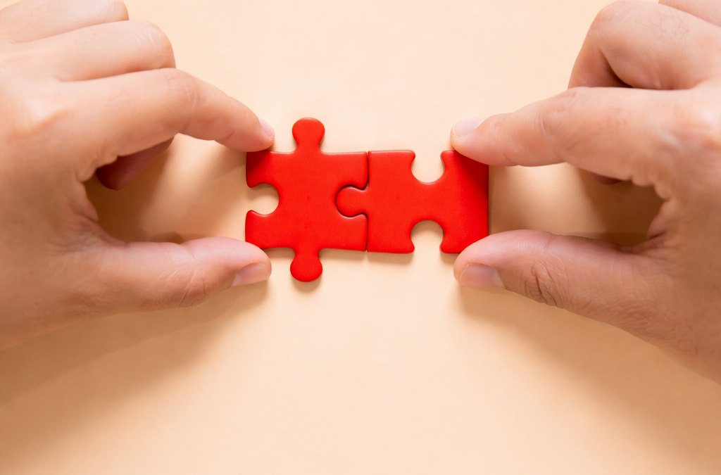 Partnership e asse di alleanza con altri sistemi