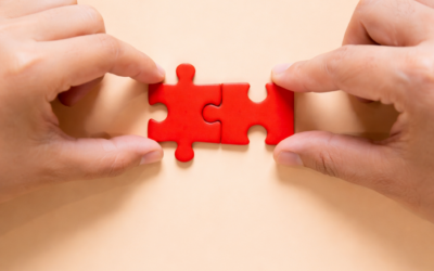 Partnership e asse di alleanza con altri sistemi